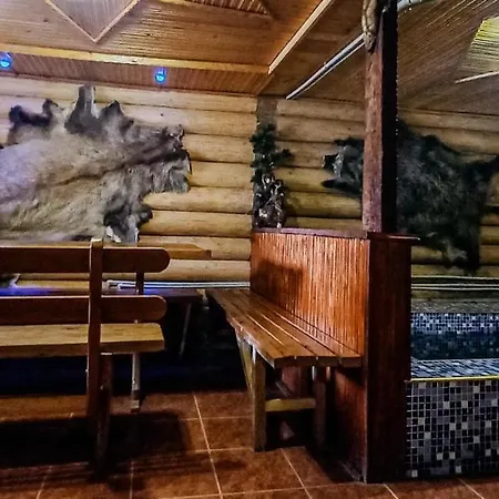 в карпатах Chalet *