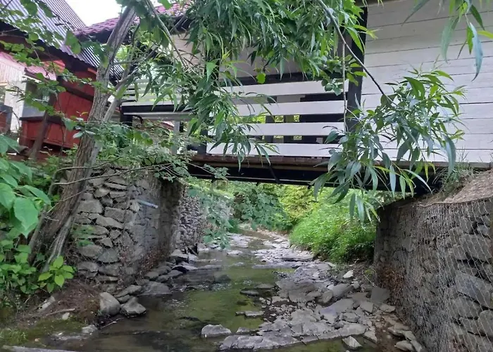 в карпатах 木屋